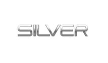 logo silver